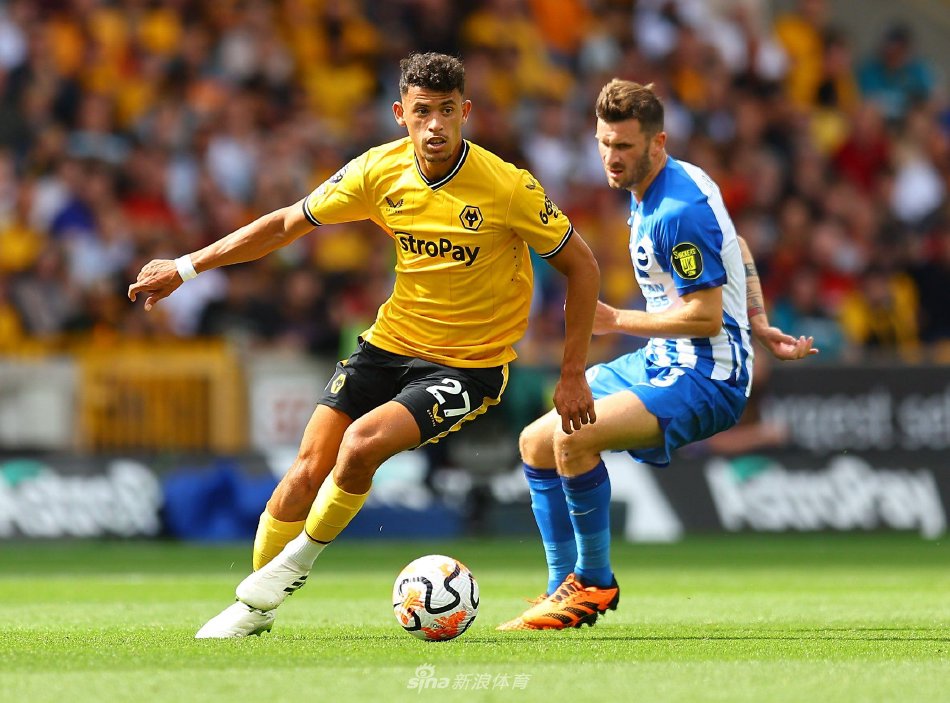 他们在关键 他们在关键